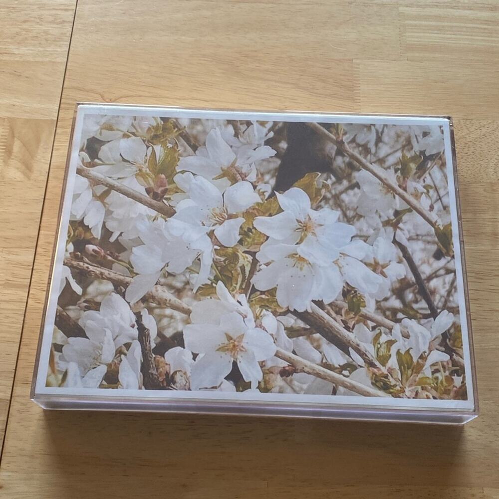 Copy of an original photo